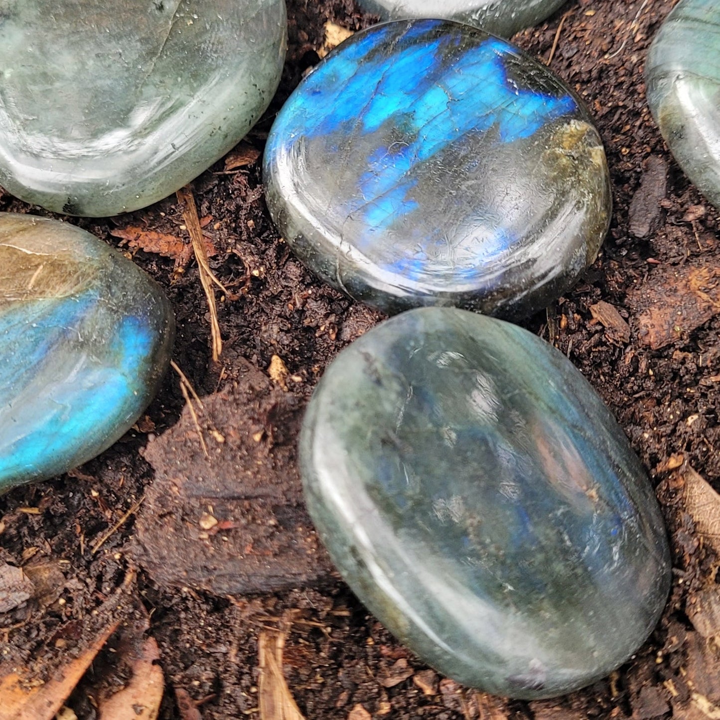 Labradorite - Pierre plate Créa'Clo