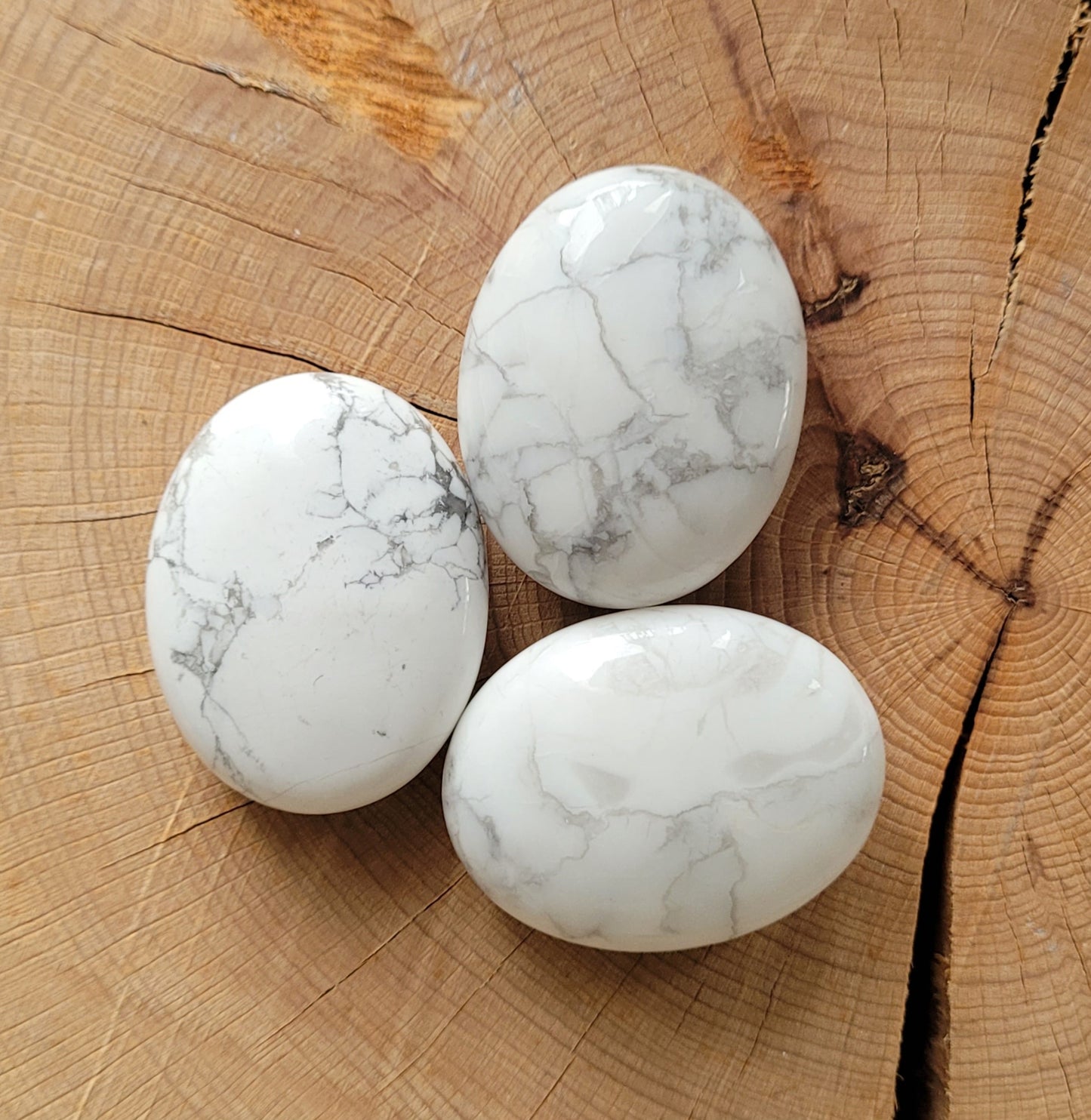 Galet Howlite