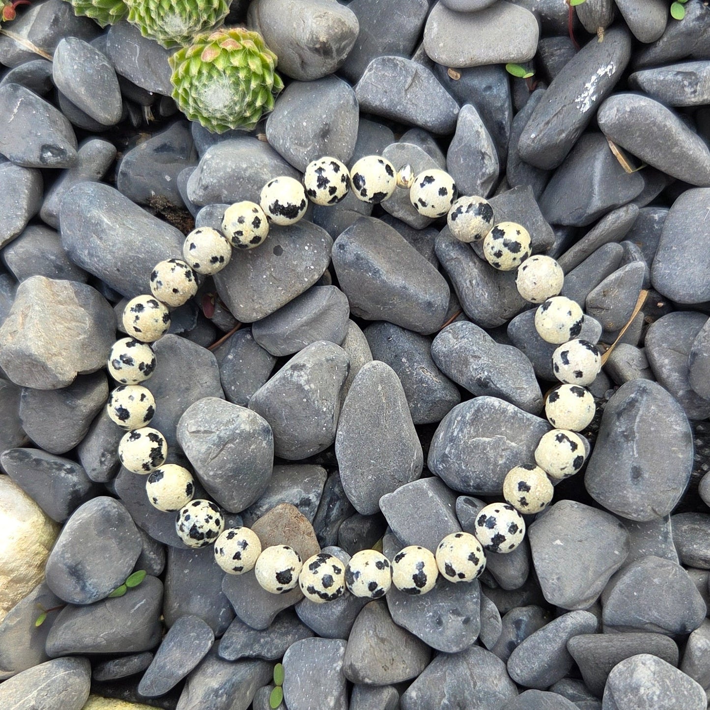 Bracelet Jaspe dalmatien Créa'Clo