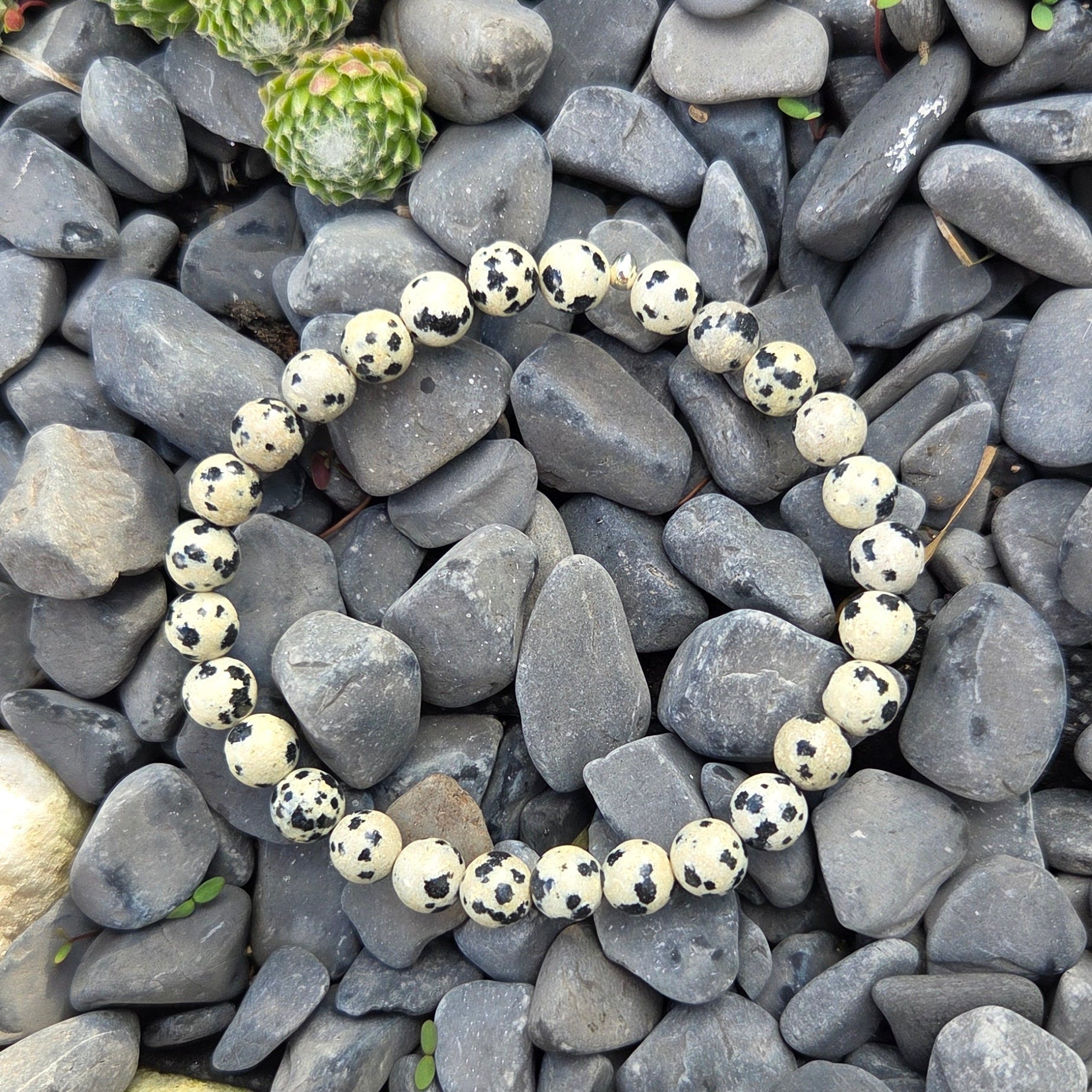 Bracelet Jaspe dalmatien Créa'Clo