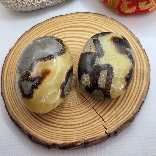 Septaria - Galet coeur Créa'Clo