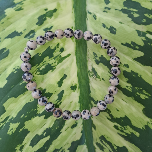 Bracelet Jaspe Dalmatien CréaClo