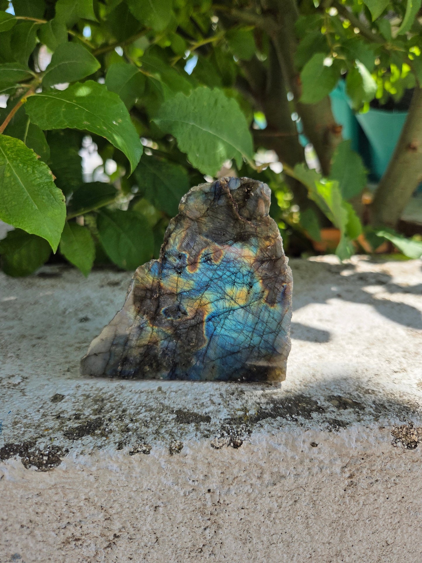 Labradorite - Forme libre Créa'Clo