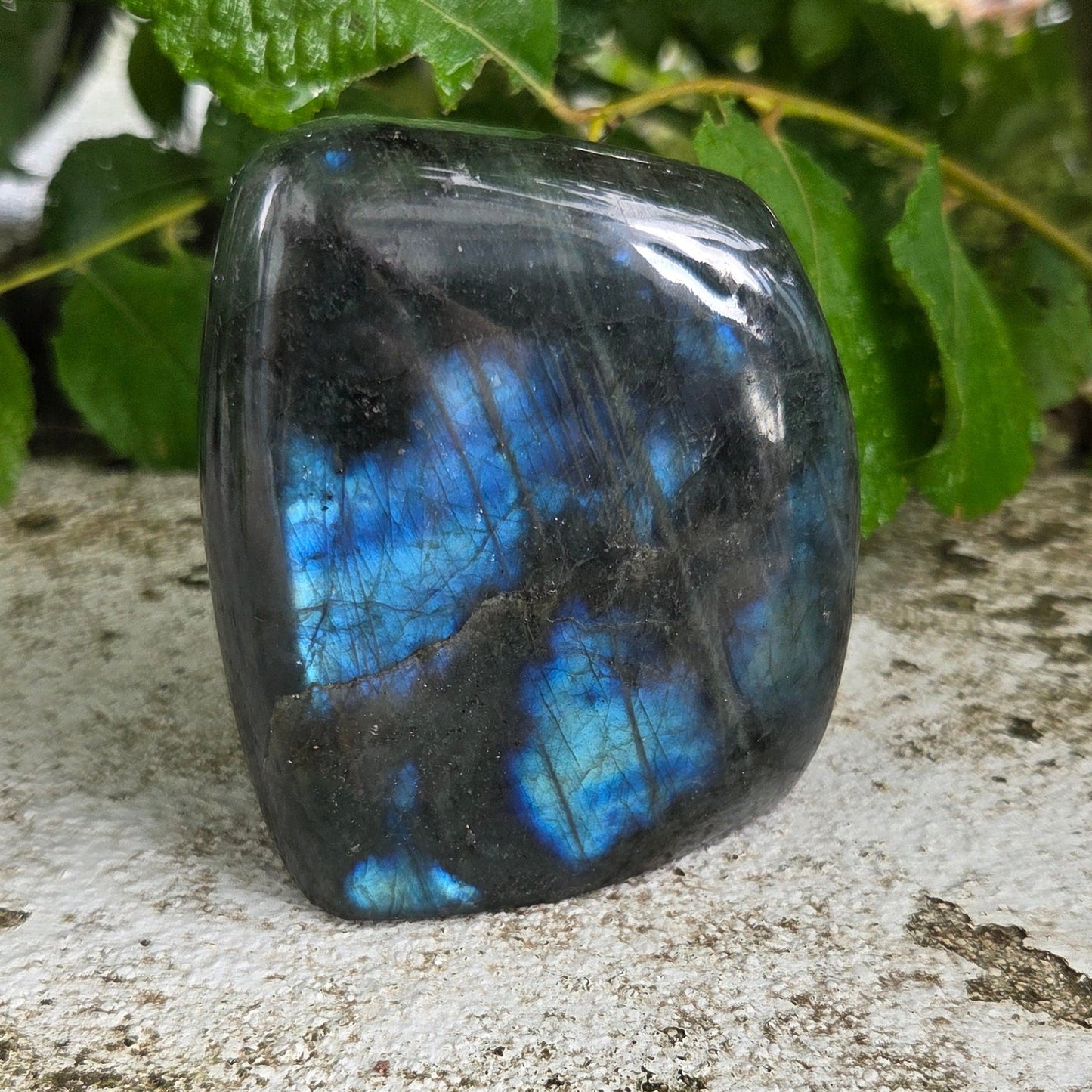 Labradorite - Forme libre Créa'Clo
