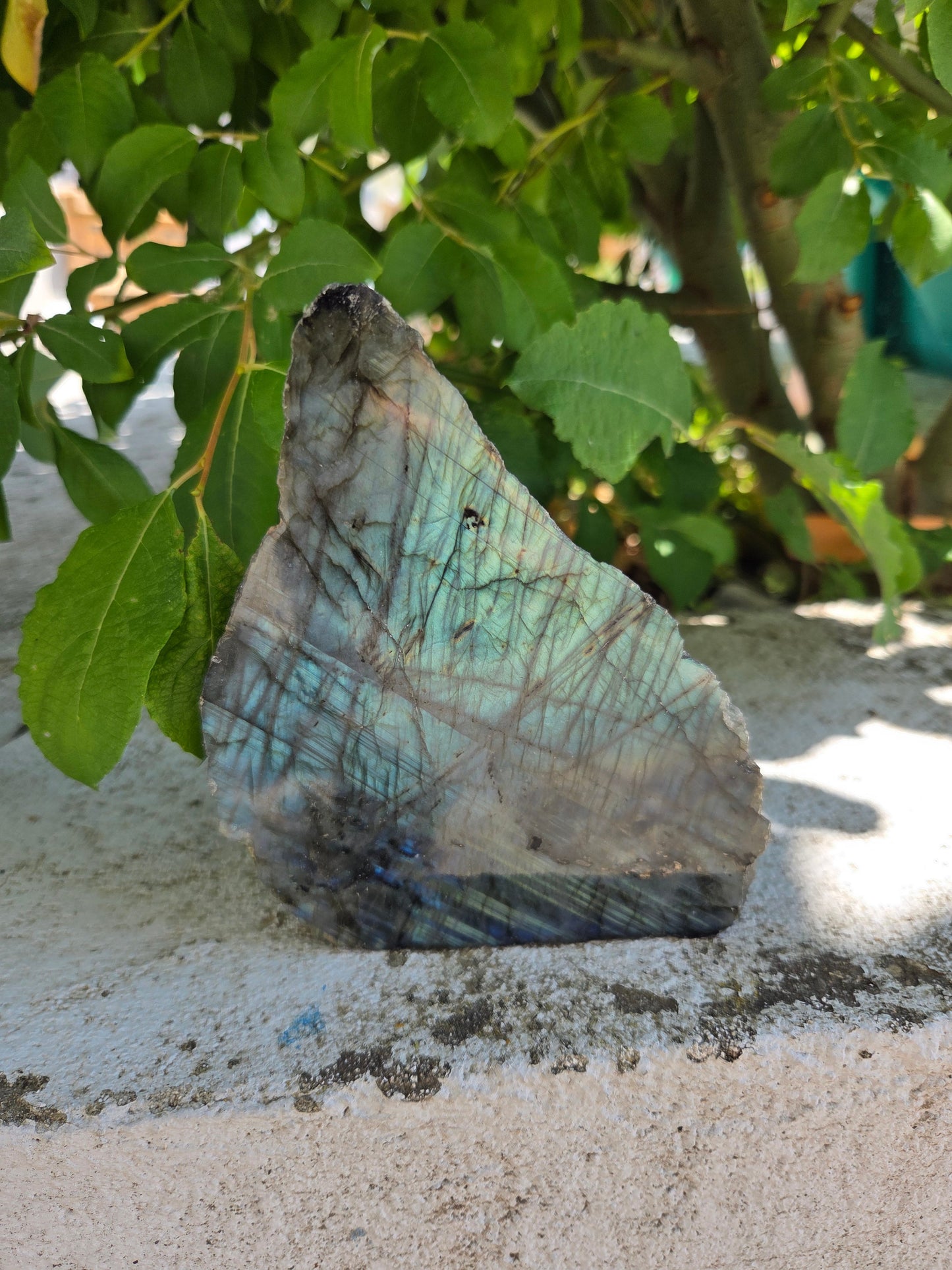 Labradorite - Forme libre Créa'Clo